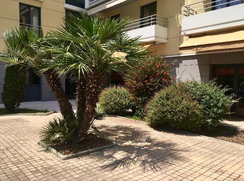 Villa Du Beal Cagnes-sur-Mer Eksteriør billede